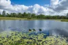 415-433 Anderleigh Road, Gunalda QLD 4570-Image