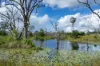 415-433 Anderleigh Road, Gunalda QLD 4570-Image