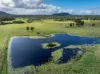 415-433 Anderleigh Road, Gunalda QLD 4570-Image
