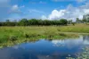 415-433 Anderleigh Road, Gunalda QLD 4570-Image