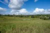 415-433 Anderleigh Road, Gunalda QLD 4570-Image