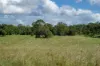415-433 Anderleigh Road, Gunalda QLD 4570-Image