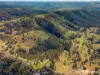42 Box Ridge Road, Turondale, NSW 2795