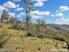 42 Box Ridge Road, Turondale, NSW 2795-Image