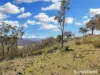 42 Box Ridge Road, Turondale, NSW 2795-Image