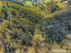 42 Box Ridge Road, Turondale, NSW 2795-Image