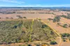 42 Suzanne Road, Gulgong, NSW 2852-Image