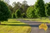 420 HODGLEIGH NORTH ROAD, Hodgleigh, Qld 4610-Image