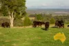 420 HODGLEIGH NORTH ROAD, Hodgleigh, Qld 4610-Image
