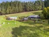 422 Paradise Road, Paradise, Tas 7306-Image