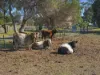422 Ventnor Road, Ventnor, Vic 3922-Image