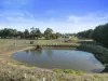 422 Ventnor Road, Ventnor, Vic 3922-Image