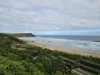 422 Ventnor Road, Ventnor, Vic 3922-Image