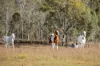 4236 Cunningham Highway, Mutdapilly QLD 4307-Image