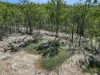 428 Bruxner Road, Drake NSW 2469-Image