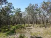 428 Bruxner Road, Drake NSW 2469-Image