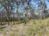 428 Bruxner Road, Drake NSW 2469-Image