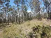 428 Bruxner Road, Drake NSW 2469-Image