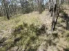 428 Bruxner Road, Drake NSW 2469-Image