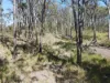 428 Bruxner Road, Drake NSW 2469-Image