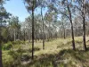 428 Bruxner Road, Drake NSW 2469-Image