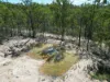 428 Bruxner Road, Drake NSW 2469-Image