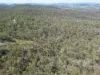 428 Bruxner Road, Drake NSW 2469-Image