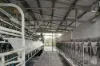 431 Knights Road, Doubtful Creek NSW 2470-Image