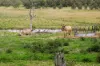 431 Knights Road, Doubtful Creek NSW 2470-Image
