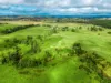 431 Knights Road, Doubtful Creek NSW 2470-Image