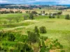 431 Knights Road, Doubtful Creek NSW 2470-Image