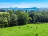 431 Knights Road, Doubtful Creek NSW 2470-Image