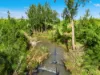 431 Knights Road, Doubtful Creek NSW 2470-Image