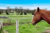 431 Knights Road, Doubtful Creek NSW 2470-Image