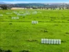 431 Knights Road, Doubtful Creek NSW 2470-Image