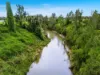 431 Knights Road, Doubtful Creek NSW 2470-Image