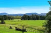 431 Knights Road, Doubtful Creek NSW 2470-Image