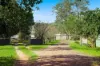 431 Knights Road, Doubtful Creek NSW 2470-Image