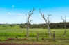 431 Knights Road, Doubtful Creek NSW 2470-Image