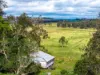 431 Knights Road, Doubtful Creek NSW 2470-Image