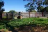433 Killarney Gap Road, Narrabri, NSW 2390-Image