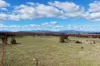 433 Killarney Gap Road, Narrabri, NSW 2390-Image