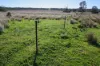 433 Killarney Gap Road, Narrabri, NSW 2390-Image