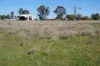 433 Killarney Gap Road, Narrabri, NSW 2390-Image