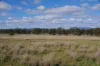 433 Killarney Gap Road, Narrabri, NSW 2390-Image