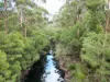 4341 South Coast Highway, Bow Bridge WA 6333-Image