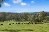 438 Meryla Road, Manchester Square, NSW 2577-Image