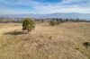 43A Schilg Lane, Staghorn Flat VIC 3691-Image