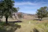 43A Schilg Lane, Staghorn Flat VIC 3691-Image