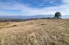 43A Schilg Lane, Staghorn Flat VIC 3691-Image